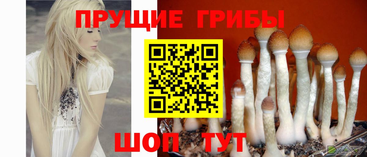 Галлюциногенные грибы мухоморы Тутаев
