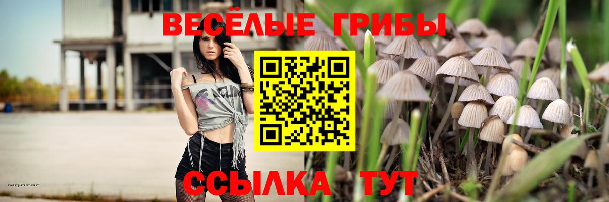 Тутаев  Псилоцибиновые грибы Cubensis  Галлюциногенные грибы Cubensis  Вход с VPN 